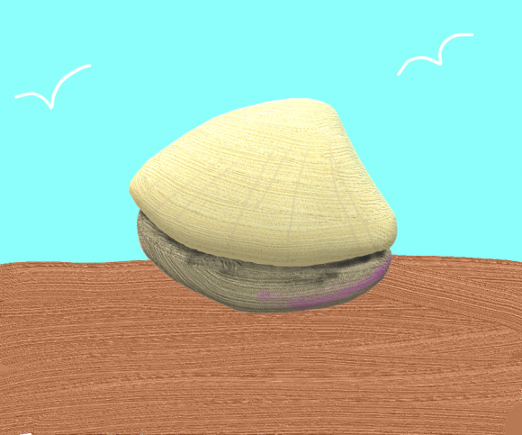 clam.png