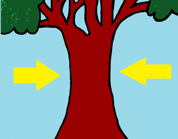 trunk.png